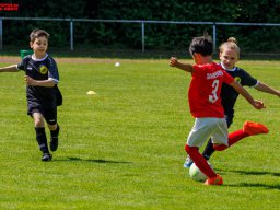 Hillen Cup 2024